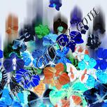 Colour:F