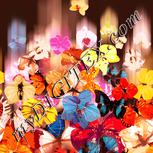 Colour:J