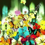 Colour:K
