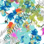 Colour:A