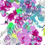 Colour:C