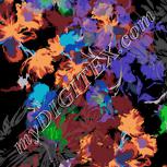 Colour:F