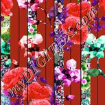Colour:B