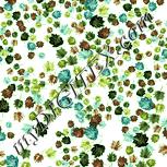 Colour:K