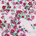 Colour:C