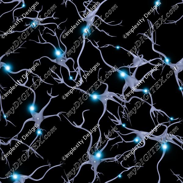 Neurons