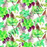 Colour:D