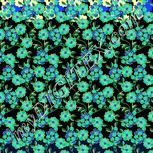 Colour:F