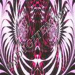 Colour:B