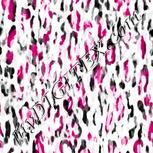 Colour:B
