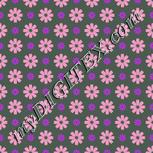 Colour:B