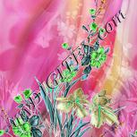 Colour:C