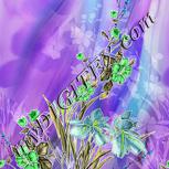 Colour:D