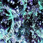 Colour:F