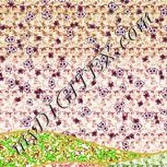 Colour:C