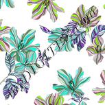Colour:C