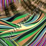 Colour:F