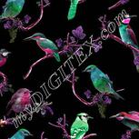 Colour:B