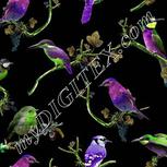 Colour:D
