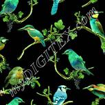 Colour:K