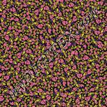 Colour:F