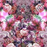 Colour:B