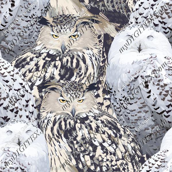 Owls