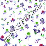 Colour:C