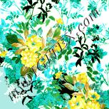 Colour:K
