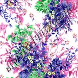 Colour:C
