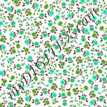 Colour:C