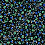 Colour:F