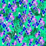 Colour:F