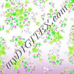 Colour:C