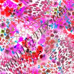 Colour:B