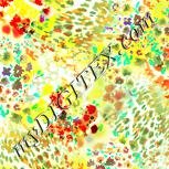 Colour:K