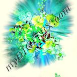 Colour:D