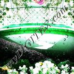 Colour:B