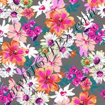 Colour:B