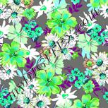 Colour:C