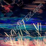 Colour:J