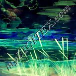 Colour:K