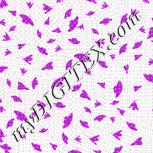 Colour:B