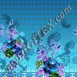 Colour:F