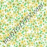 Colour:K