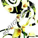 Colour:K