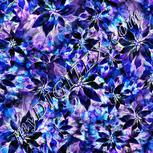 Colour:F