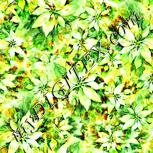 Colour:K