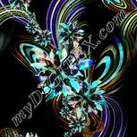 Colour:F