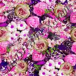 Colour:B